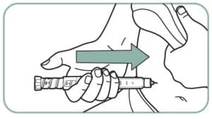 Step 12
